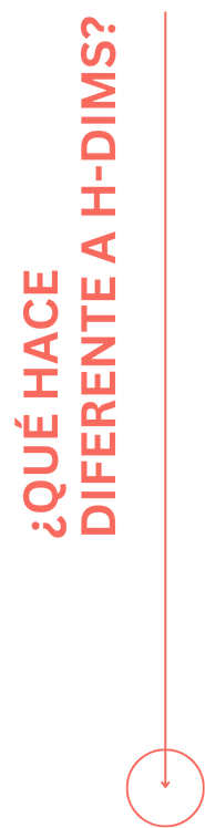 Texto vertical rojo en español que dice ¿QUÉ HACE DIFERENTE A H-DIMS? con una fina línea vertical que termina en un círculo en la parte inferior, todo ello sobre un fondo gris claro, destacando la Metodología H-DIMS para una transformación real para empresas.