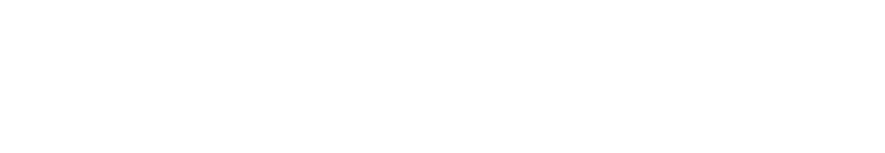 Fondo blanco con la palabra metodología, en una fuente cursiva muy ligera, casi transparente, que evoca sutilmente la Metodología H-DIMS y sugiere una transformación real para las empresas.